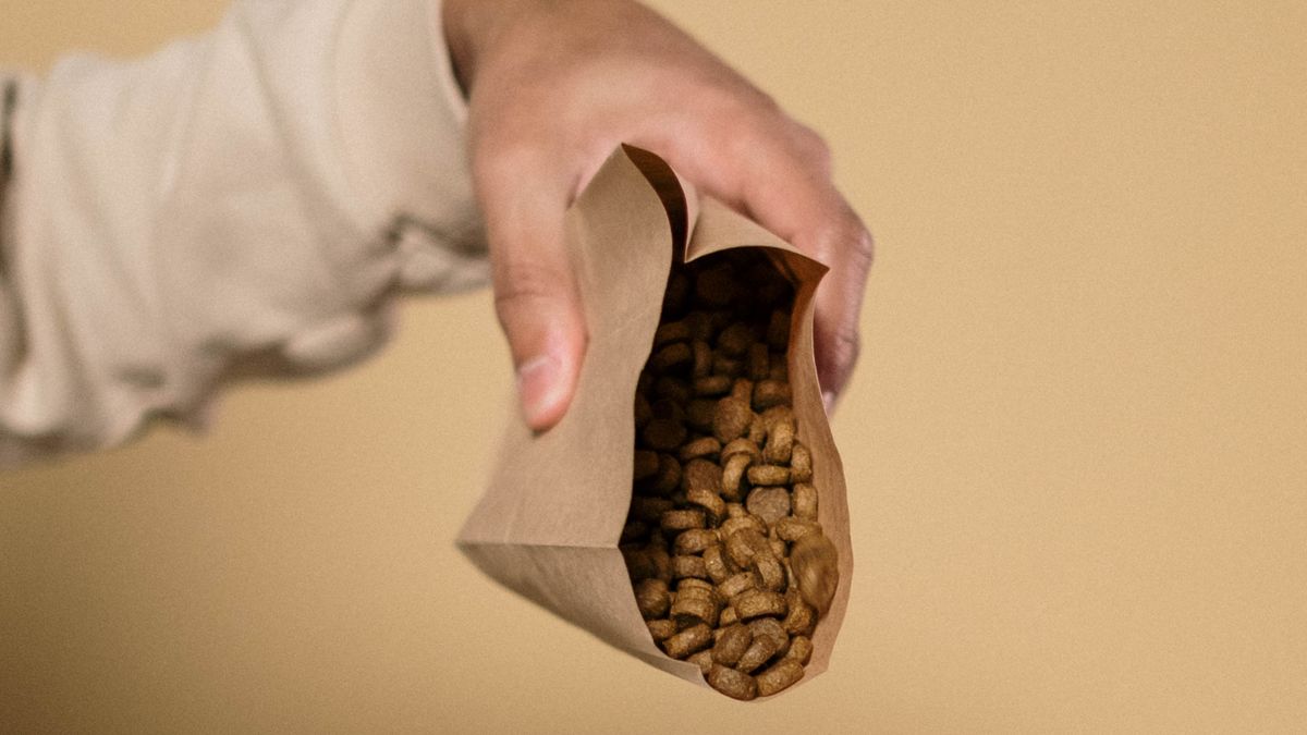 茶色い紙袋からドッグフードの粒をのぞかせて持つ手