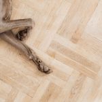 木目のフローリングの上で足先を伸ばして休む犬の後ろ足