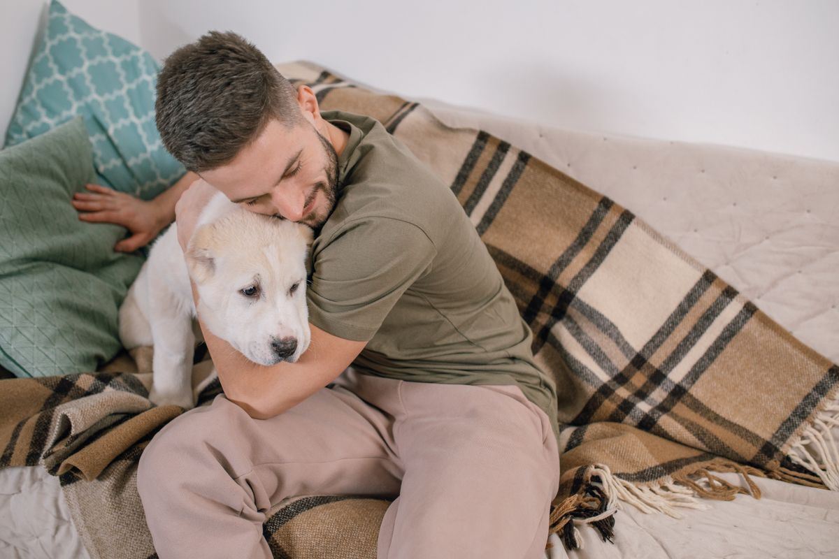 ソファで白い犬を抱きしめる男性