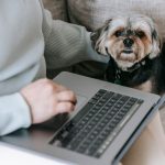 ノートパソコンを使う飼い主のそばに座る小型犬の写真
